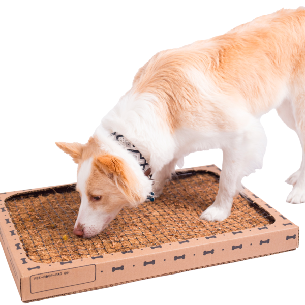 Pee-Poop-Pad - Image 3