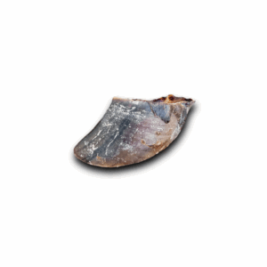 Pezuña de Res Anti-Estrés (con Hígado de Res)
